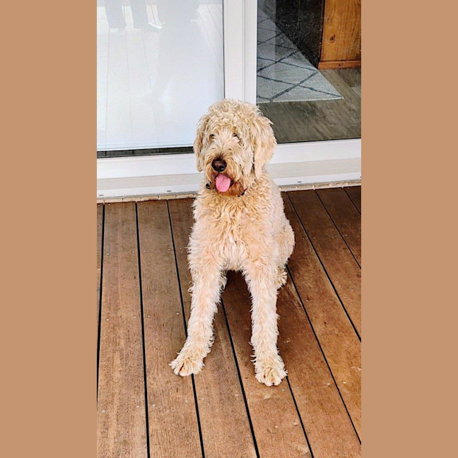 Photo of Marshall Uffelman