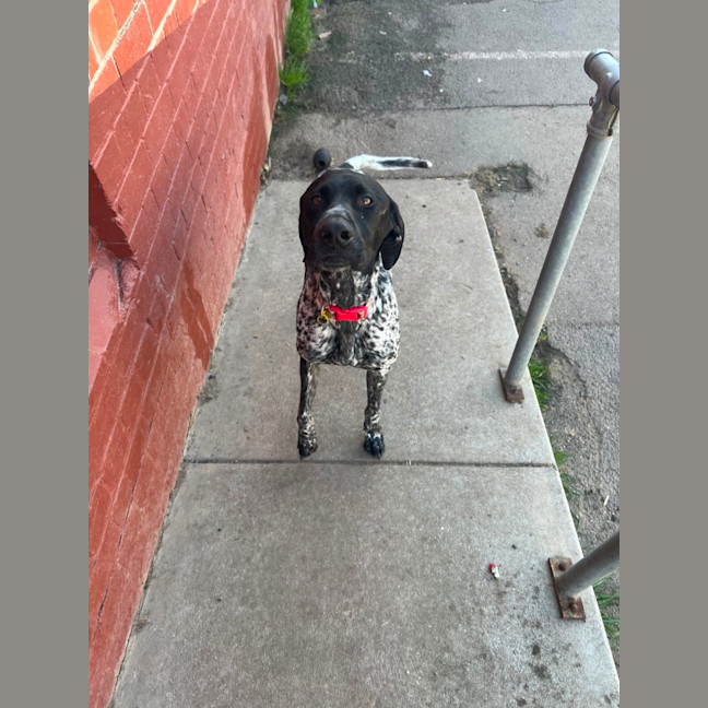 Photo of Murphy