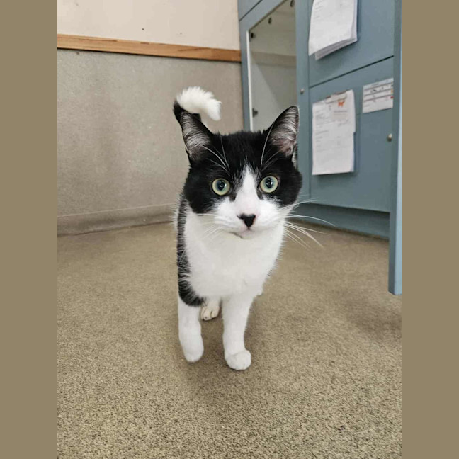 Photo of Momo