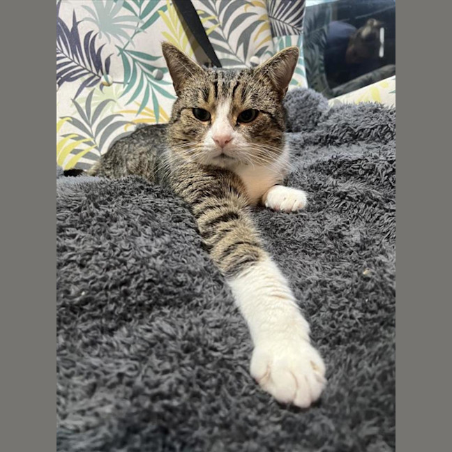 Photo of Reggie