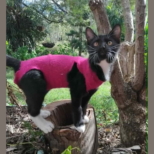Photo of Barbie