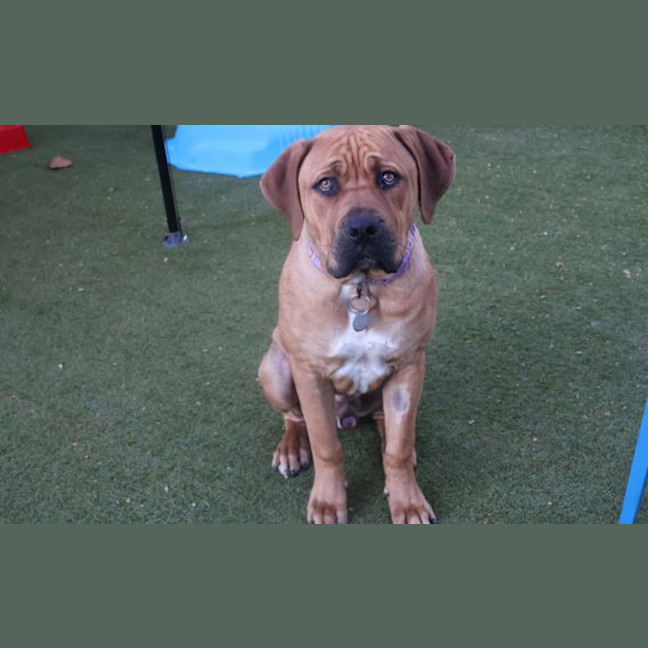 Photo of Gus
