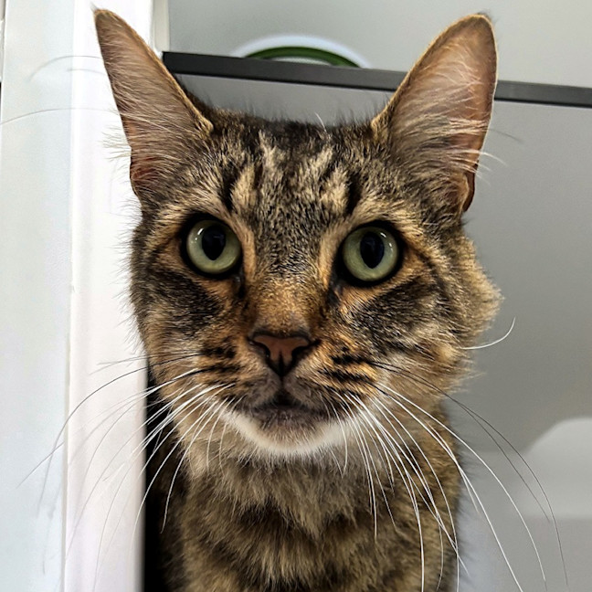 Photo of Brian Rstk006319