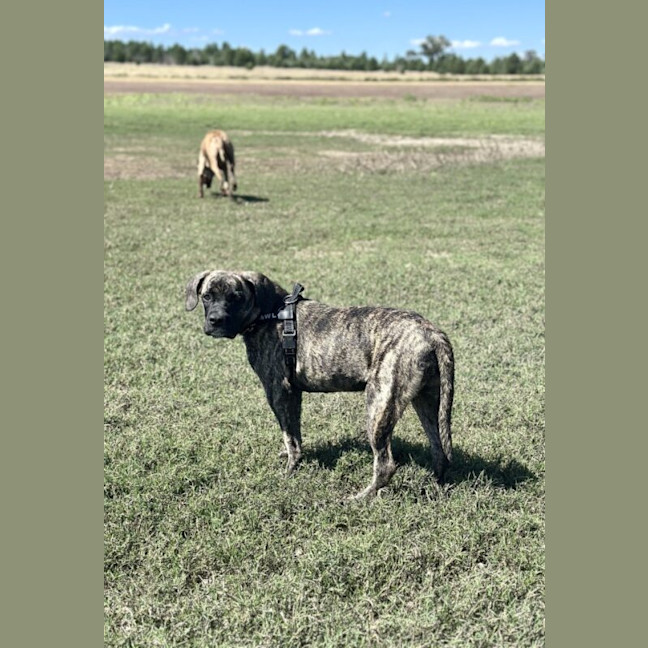 Photo of Lucy