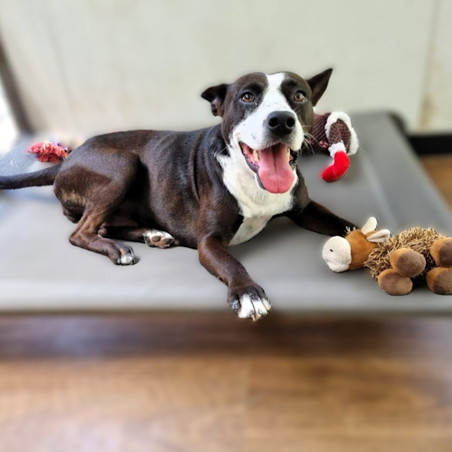Photo of Maggie