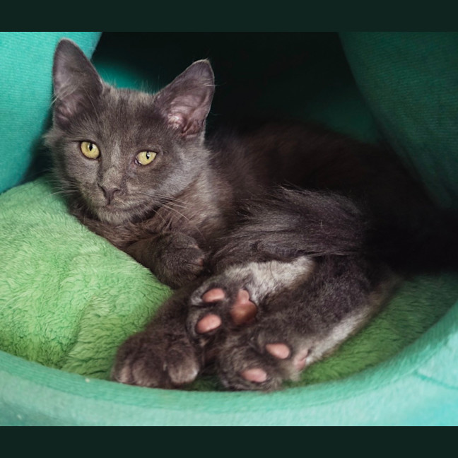 Photo of Ragnar