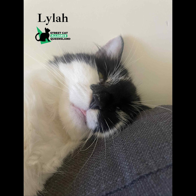 Photo of Lylah