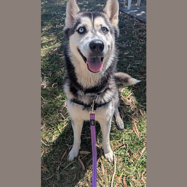 Photo of Storm