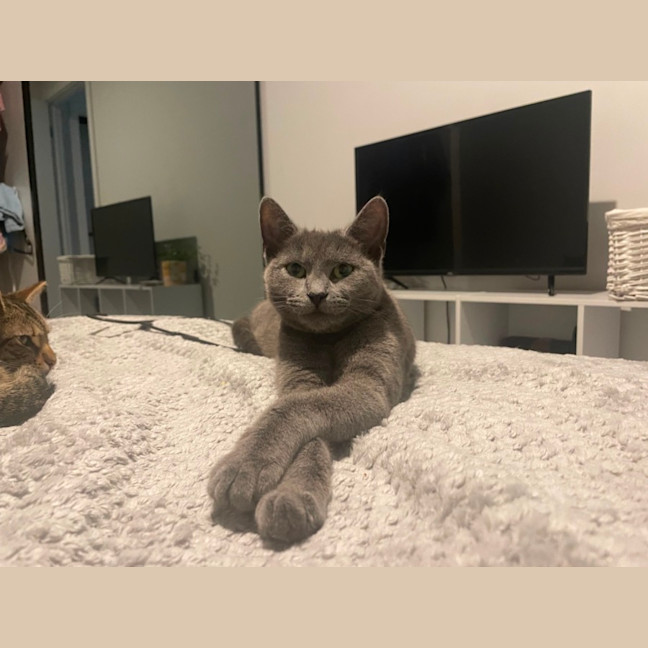 Photo of Sprinkle 🧁 