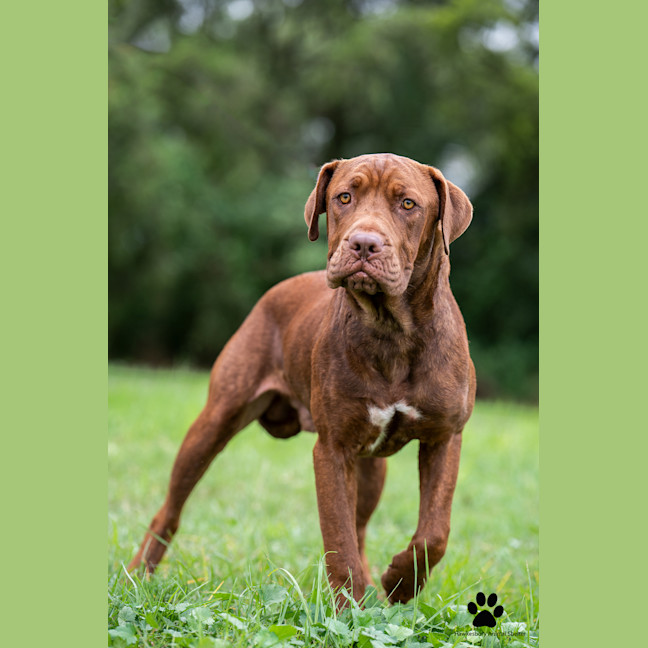 Photo of Bruce