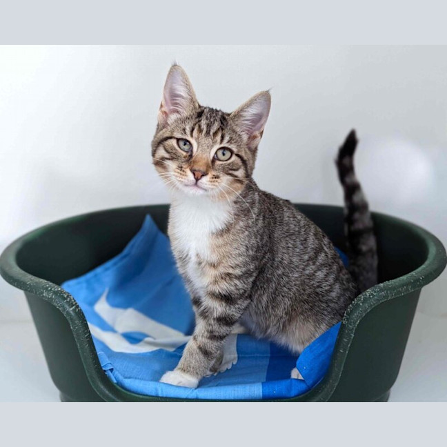 Photo of Luna