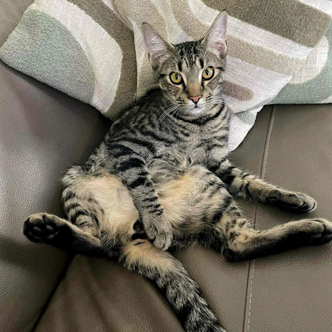 Photo of 12217   Stewart 