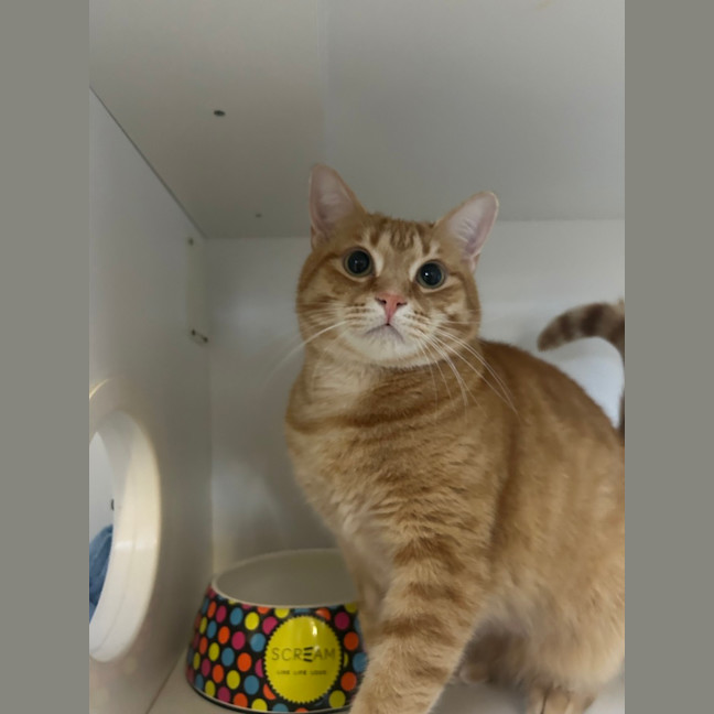 Photo of Timothy