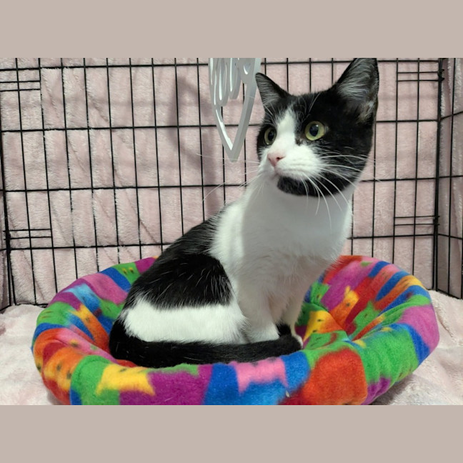 Photo of Mitzi