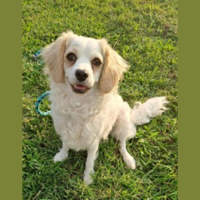 Photo of Mabel 