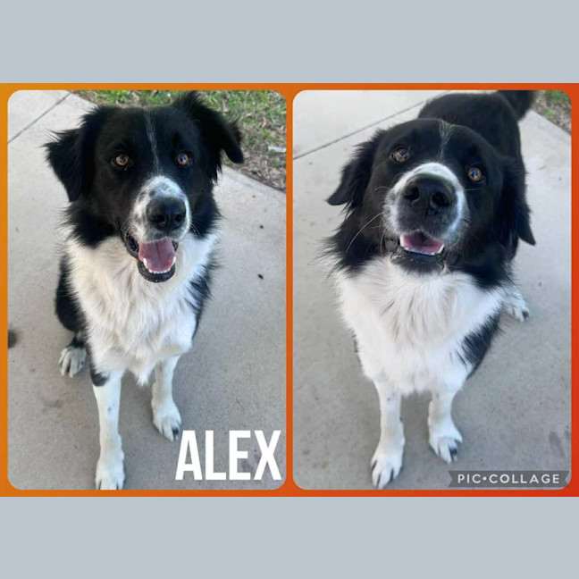 Photo of Alex