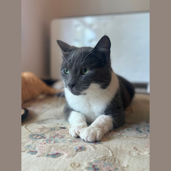 Photo of Christian Grey