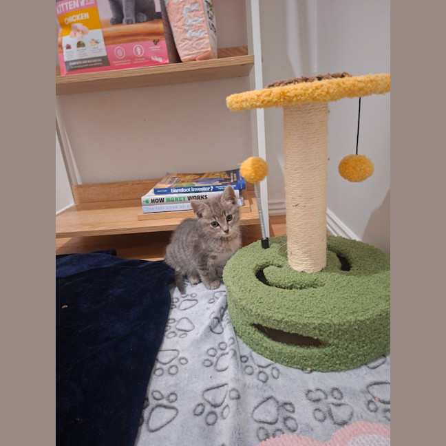 Photo of Otis