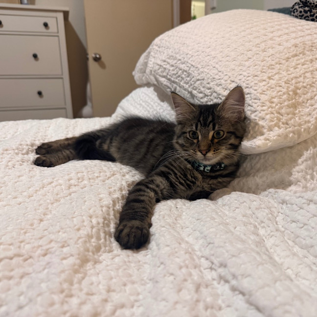 Photo of George