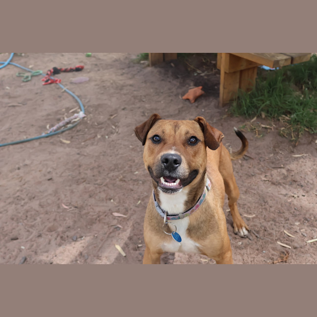 Photo of Tucker