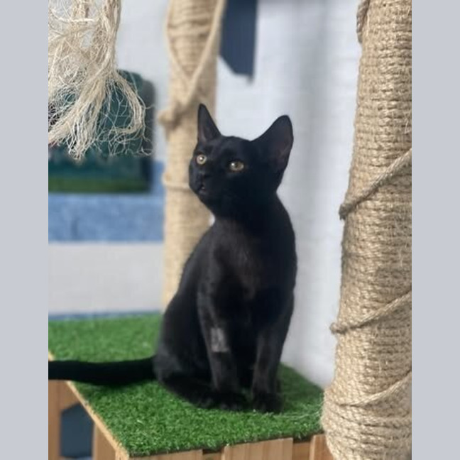 Photo of Eve