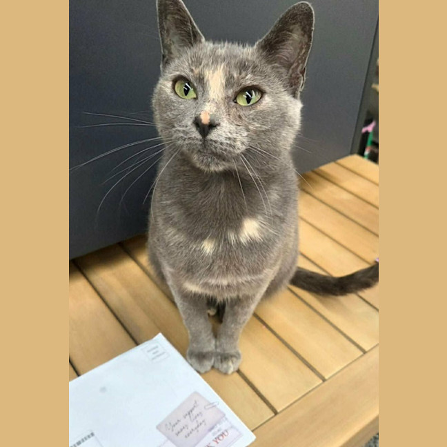 Photo of Luna