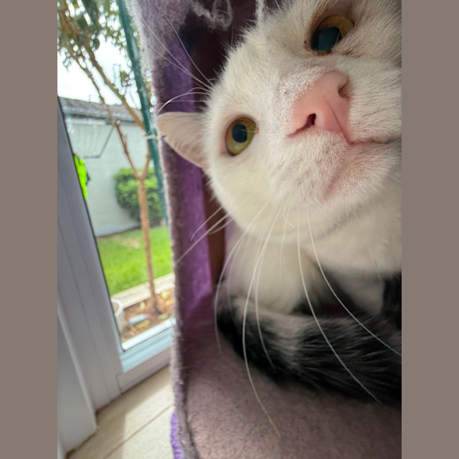 Photo of Sugar