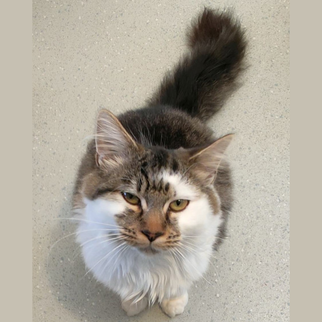 Photo of Sprout