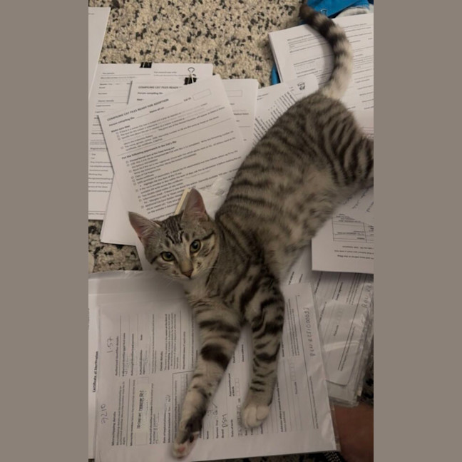 Photo of Peter And Brock