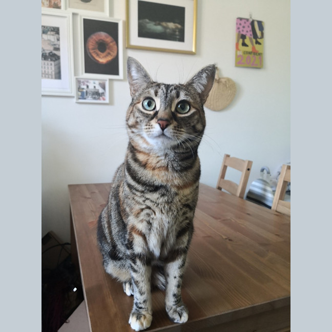 Photo of Milicent (Mili)