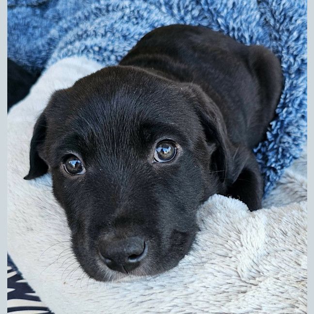Photo of Cash