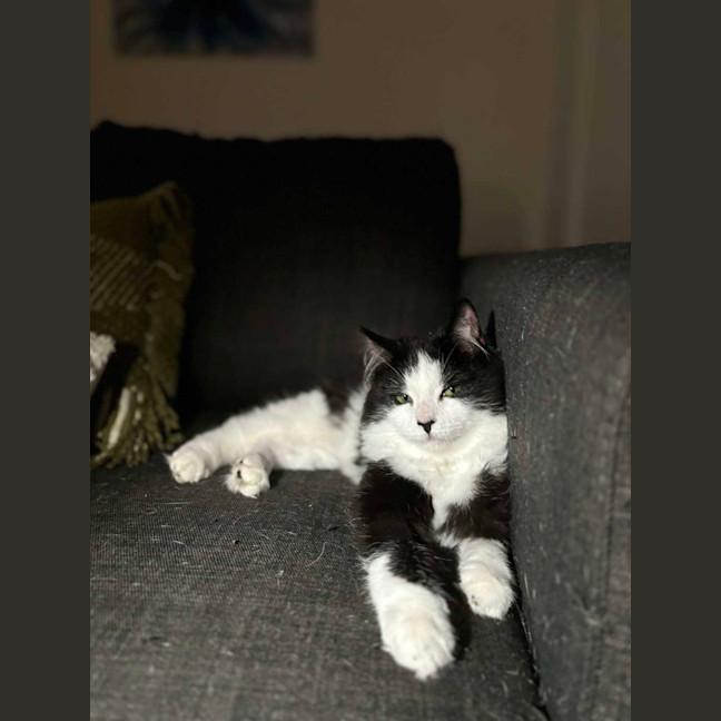 Photo of Timmy