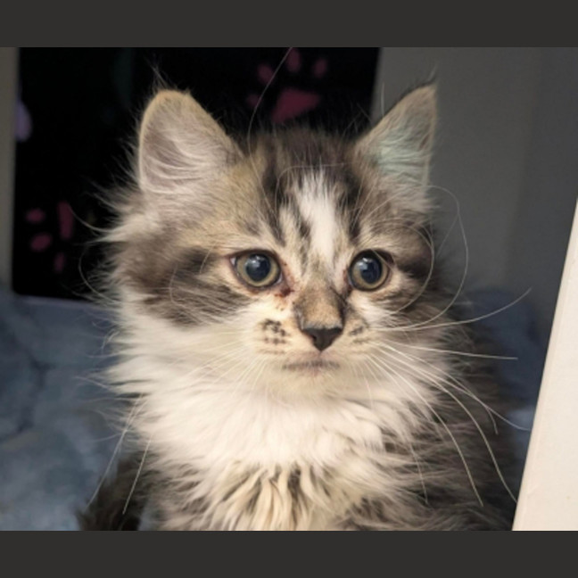 Photo of Veruca