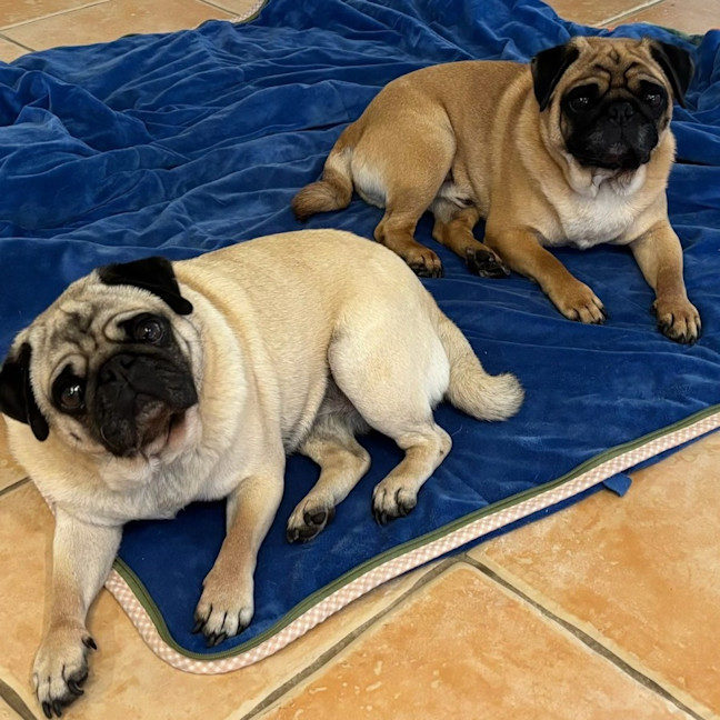 Photo of Fred And Mabel