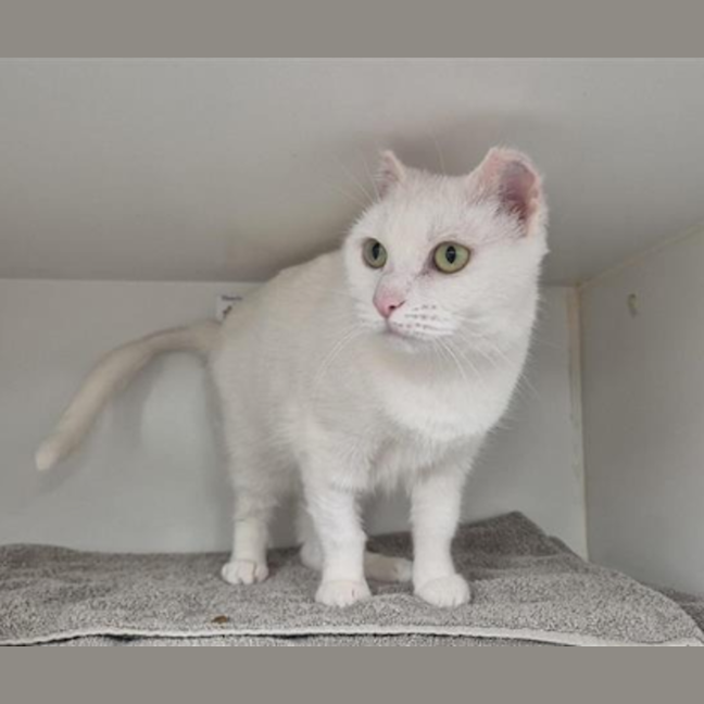 Photo of Maggie