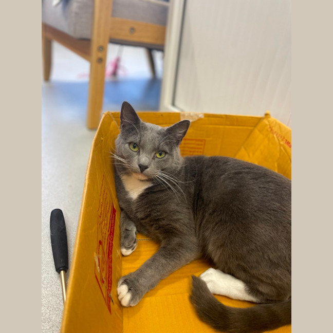 Photo of ♟ Astin 5530 ♟