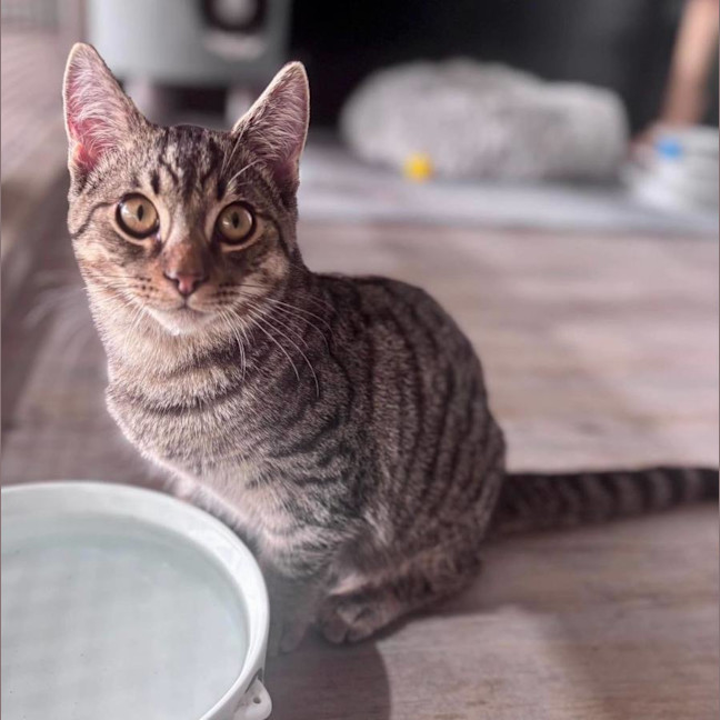 Photo of Little Man