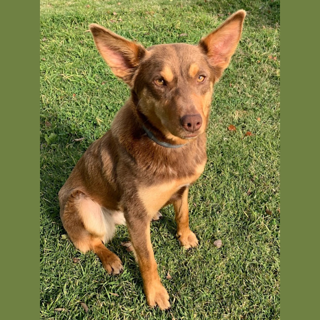 Photo of Nora