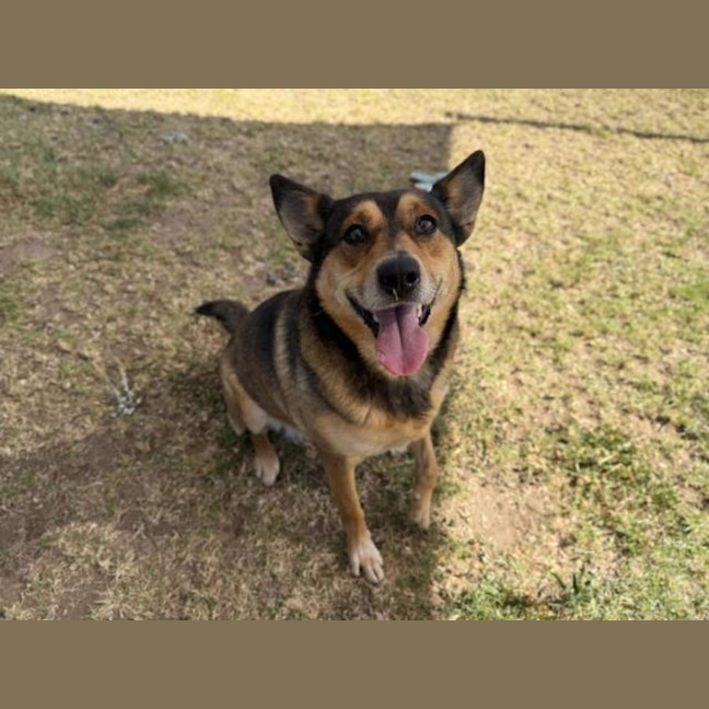 Photo of Akira Imp 2899