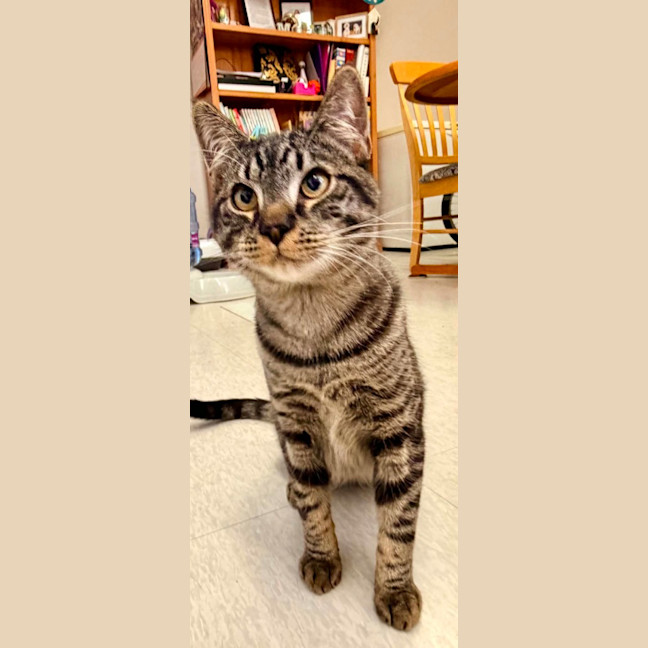 Photo of Reetee