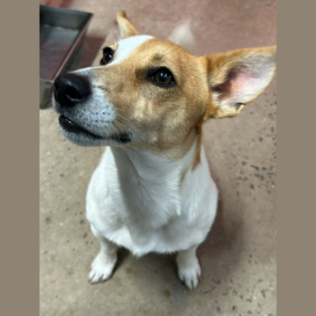 Photo of Oleg The Wise