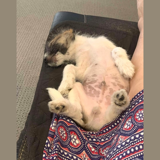 Photo of Messiah Muddle