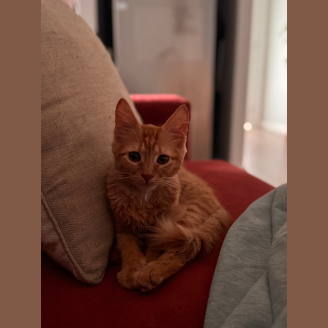 Photo of Zeus