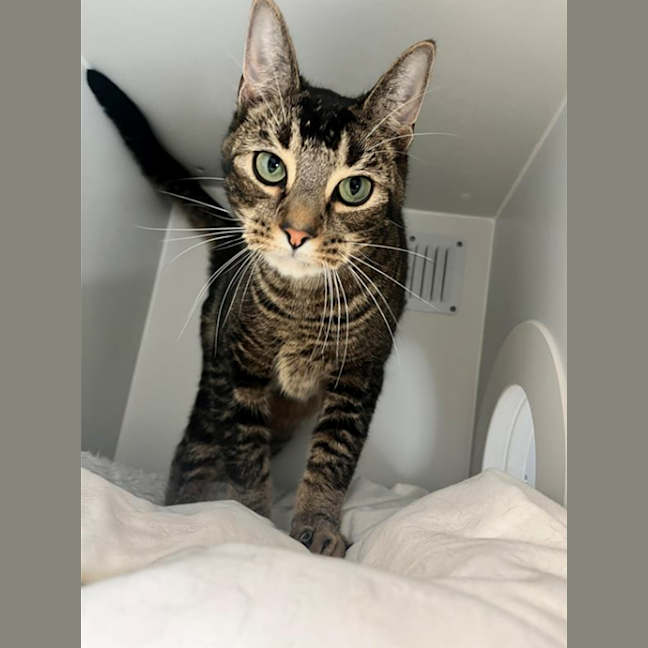 Photo of Charlie