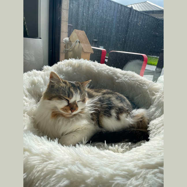 Photo of Hazel