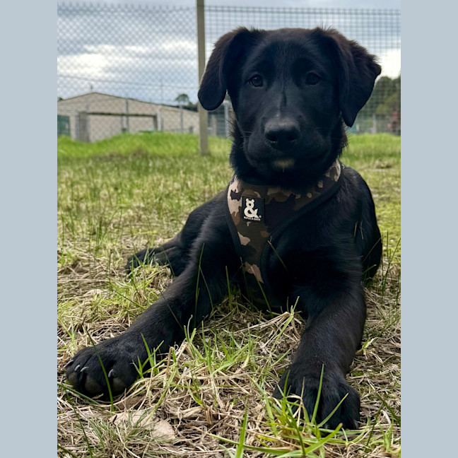 Photo of Ares