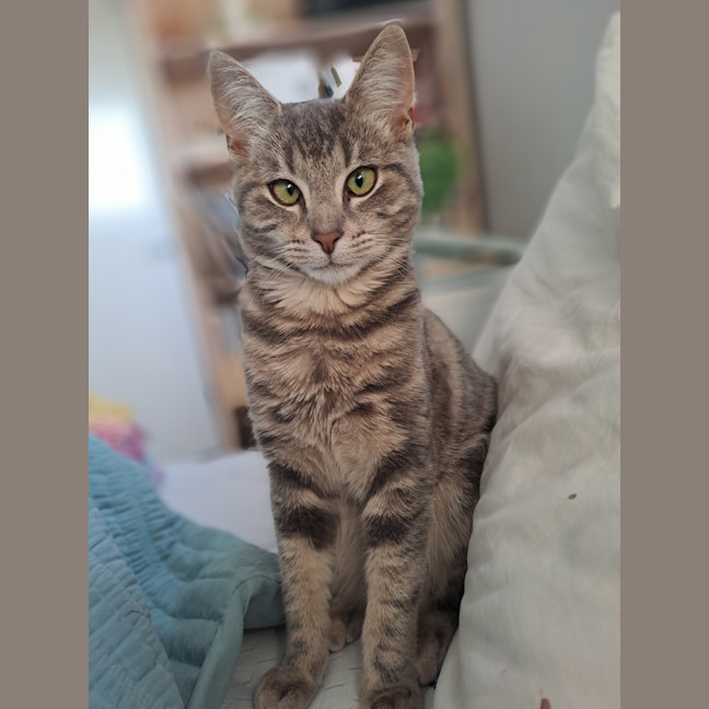 Photo of Riley 