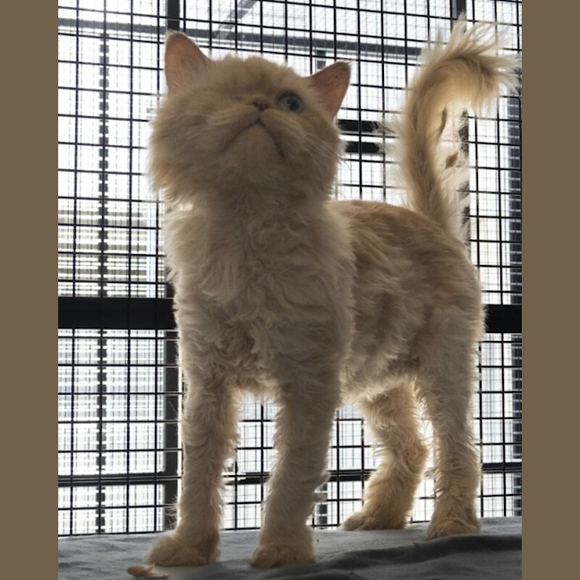 Photo of Sammy