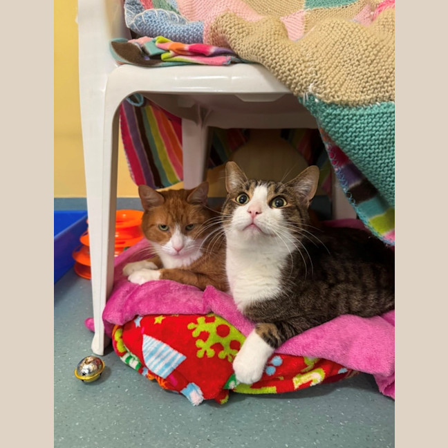 Photo of Roku And Nana