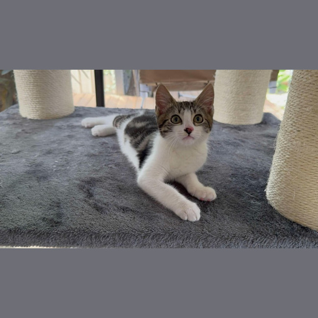 Photo of Hamish